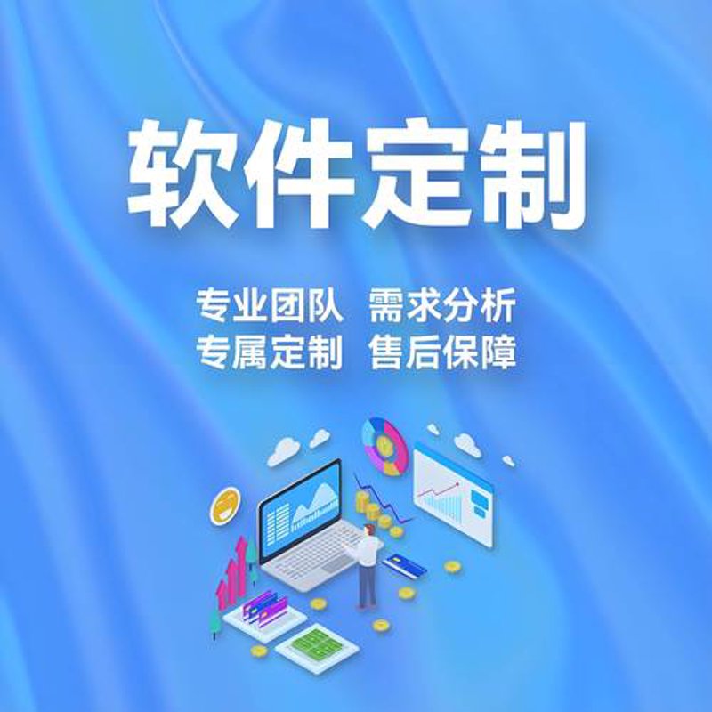 企业管理系统定制：企业成长之路的新伴侣